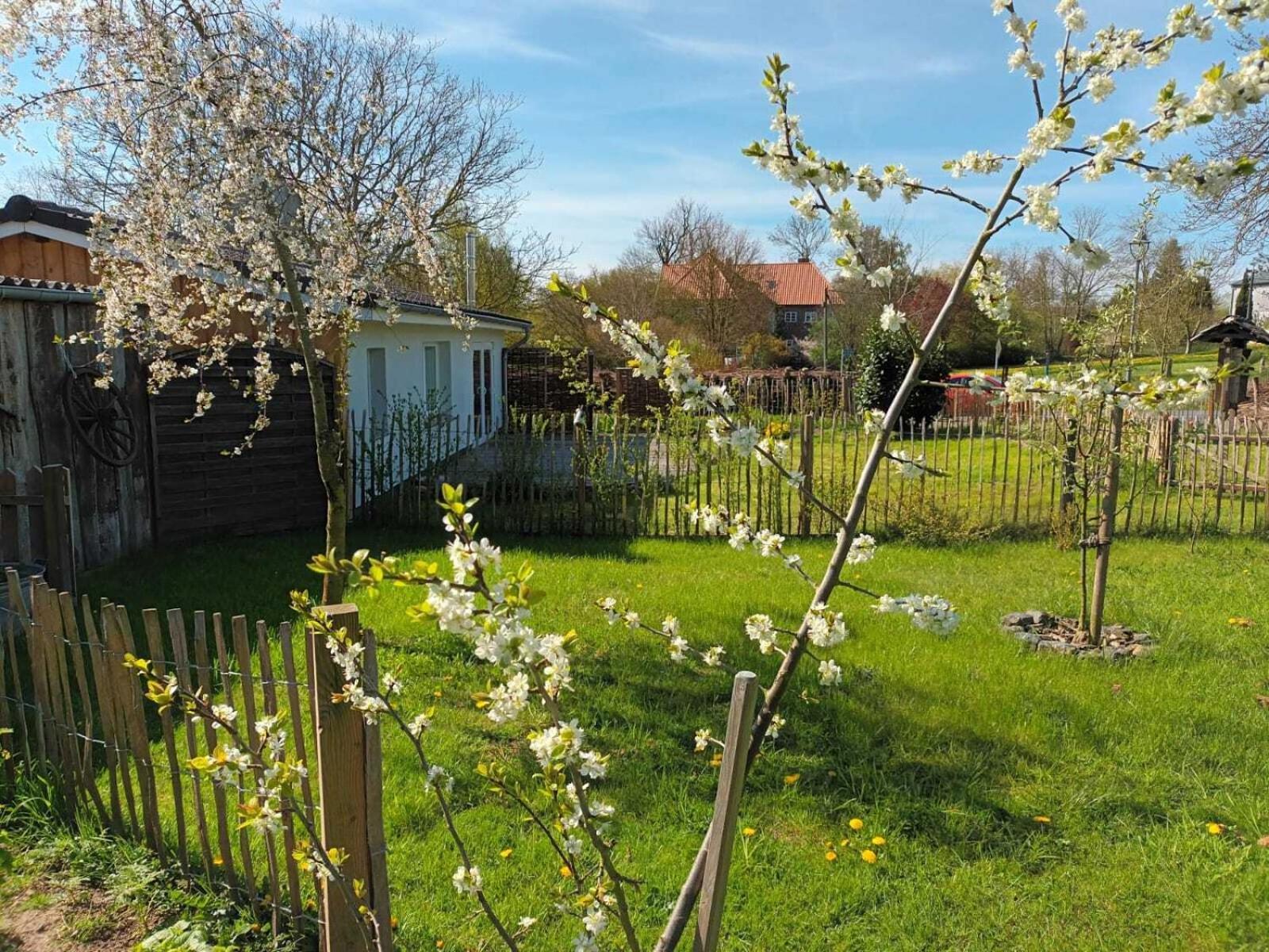 Vila Apfelhof Grundshagen Pokoj fotografie